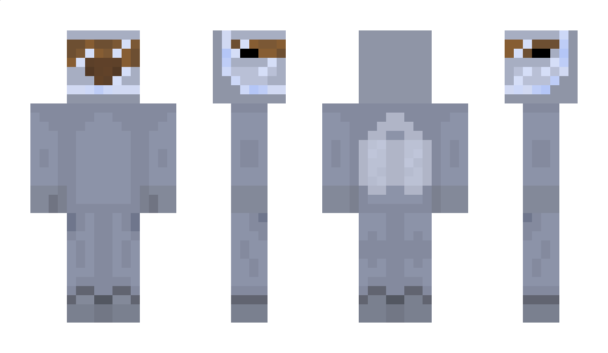 bokdoggy Minecraft Skin