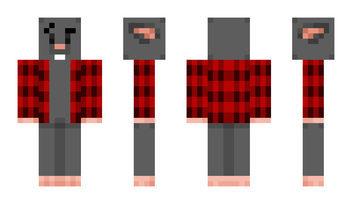 BAicus Minecraft Skin