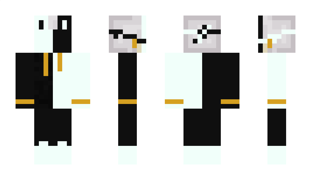 EndoGS Minecraft Skin