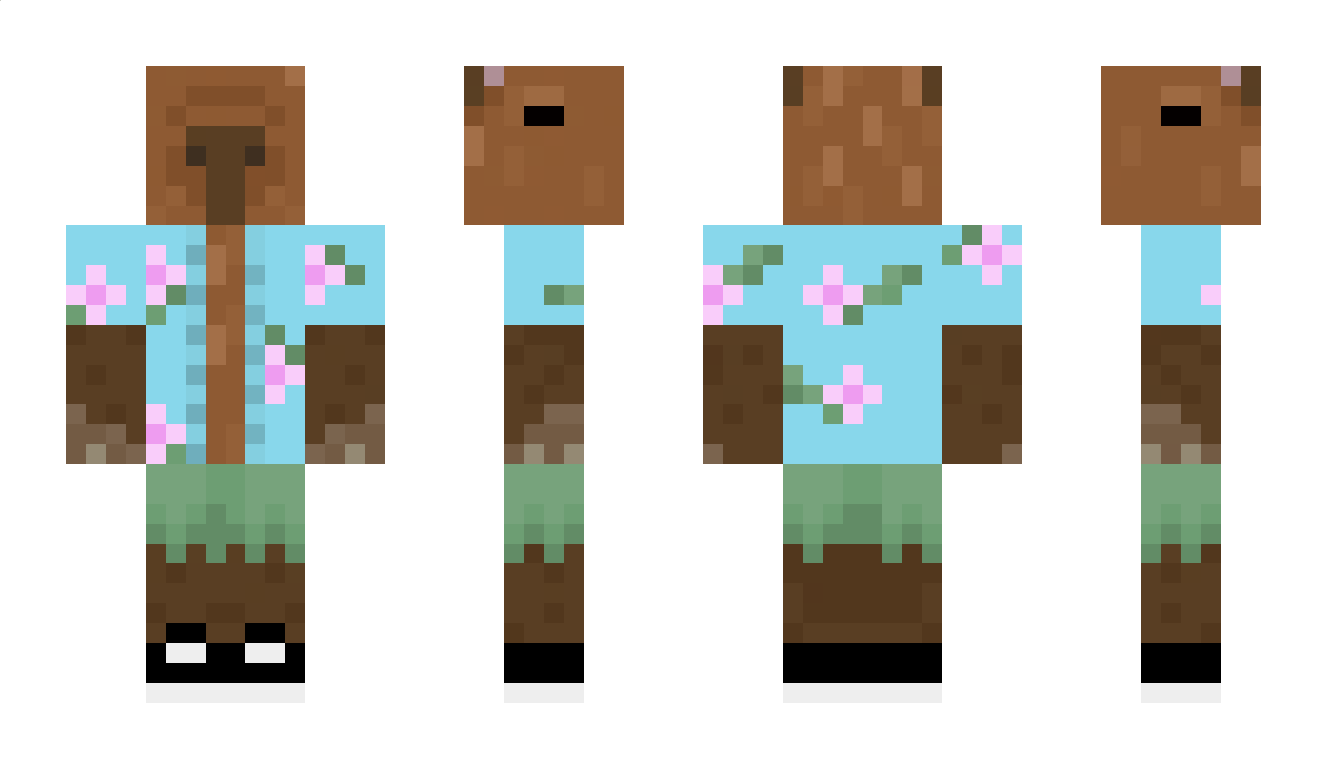 Toaty Minecraft Skin