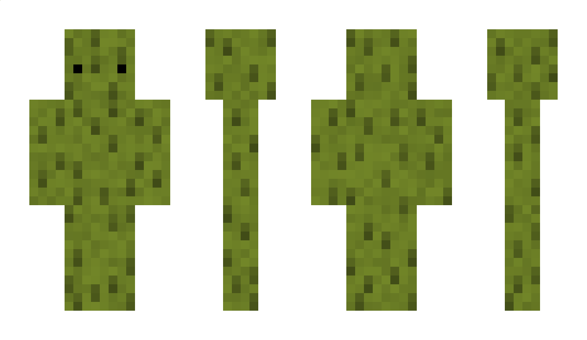 PicklesRule_ Minecraft Skin