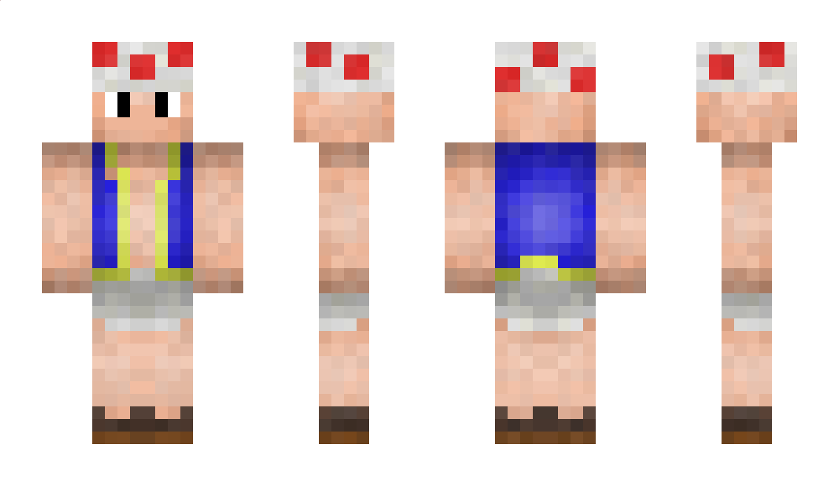 Toad Minecraft Skin