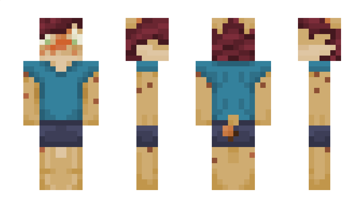 liewednedak Minecraft Skin