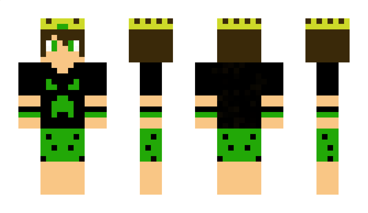 TotalCraft_ Minecraft Skin