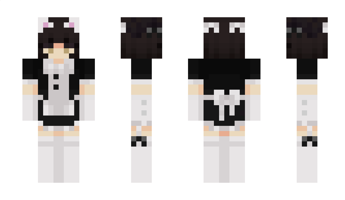 sp1dit Minecraft Skin