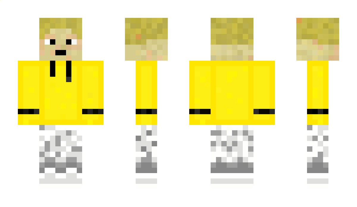 SwissiBricki Minecraft Skin