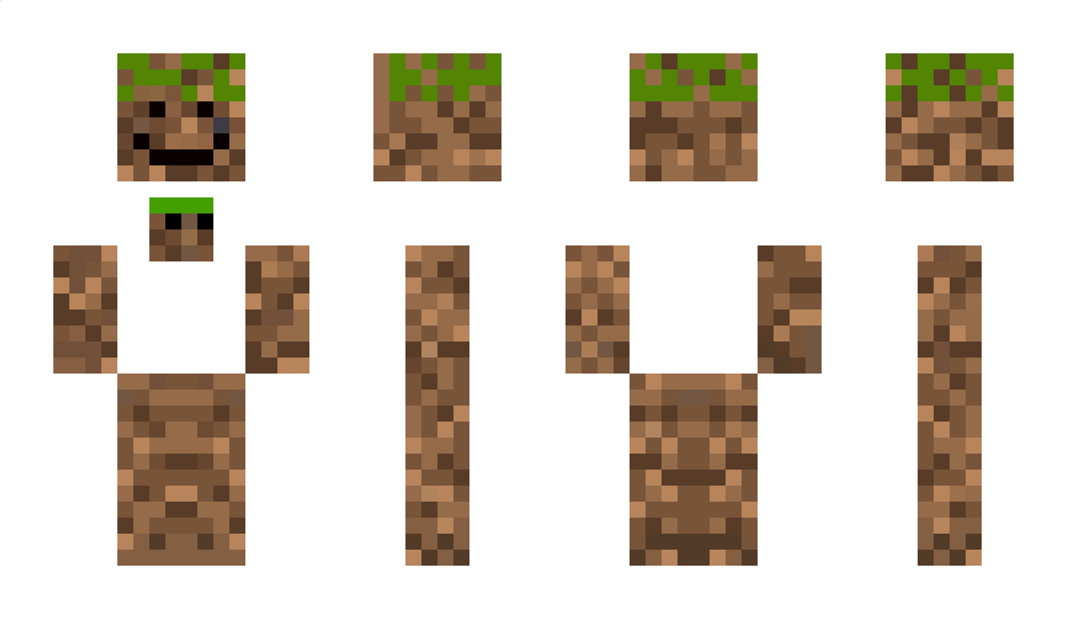 dirtyguy Minecraft Skin