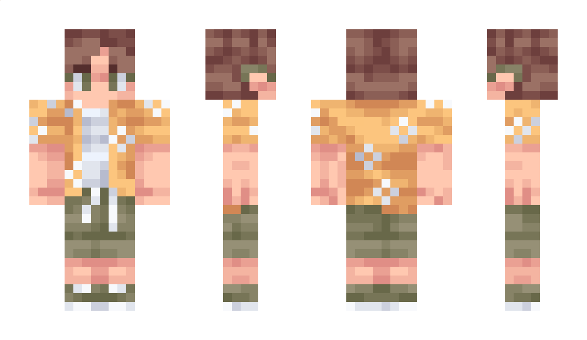 h273 Minecraft Skin