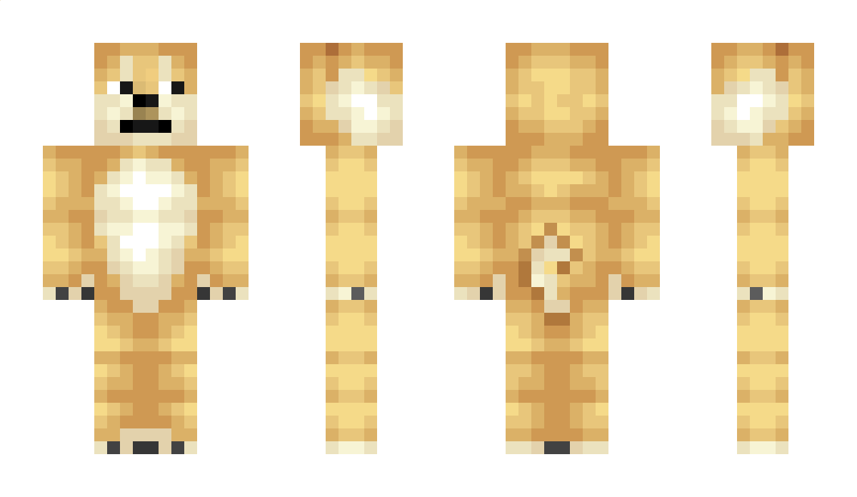 MrDogeA Minecraft Skin