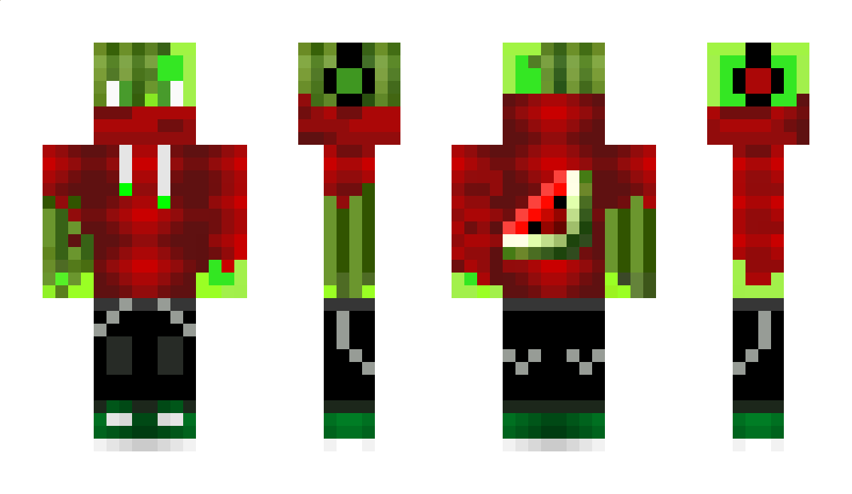 Mr_WaterMelone Minecraft Skin