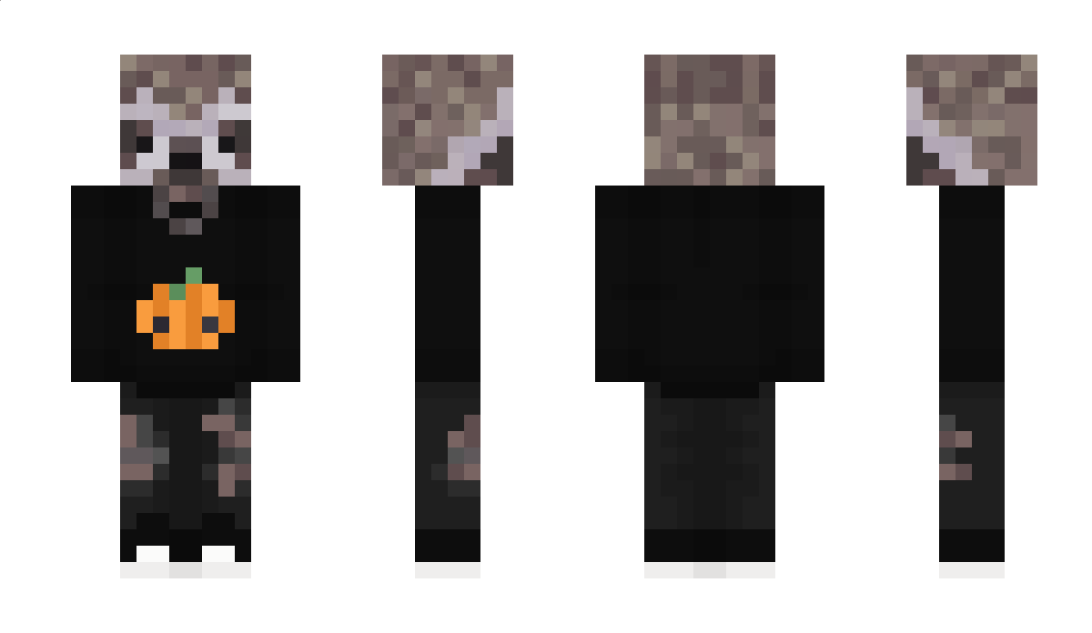 aidn Minecraft Skin