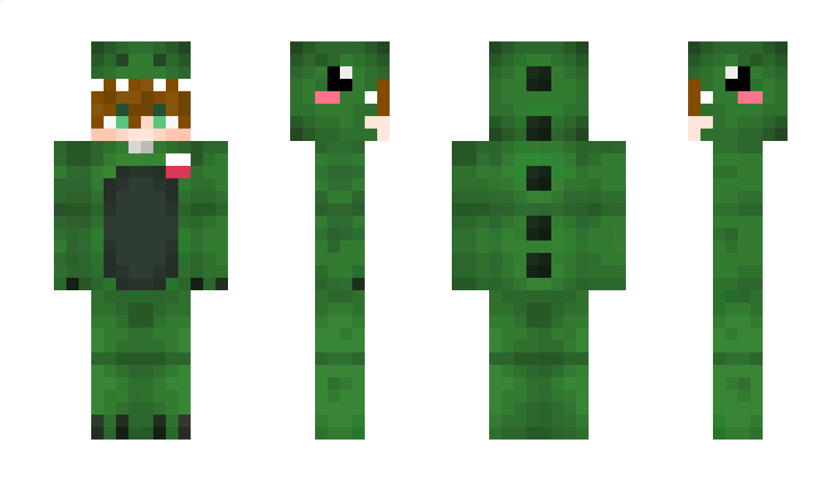 XwingAlan Minecraft Skin