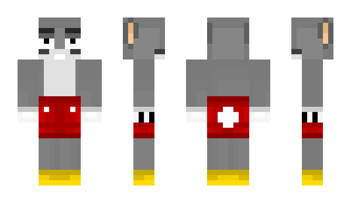 Joagym Minecraft Skin