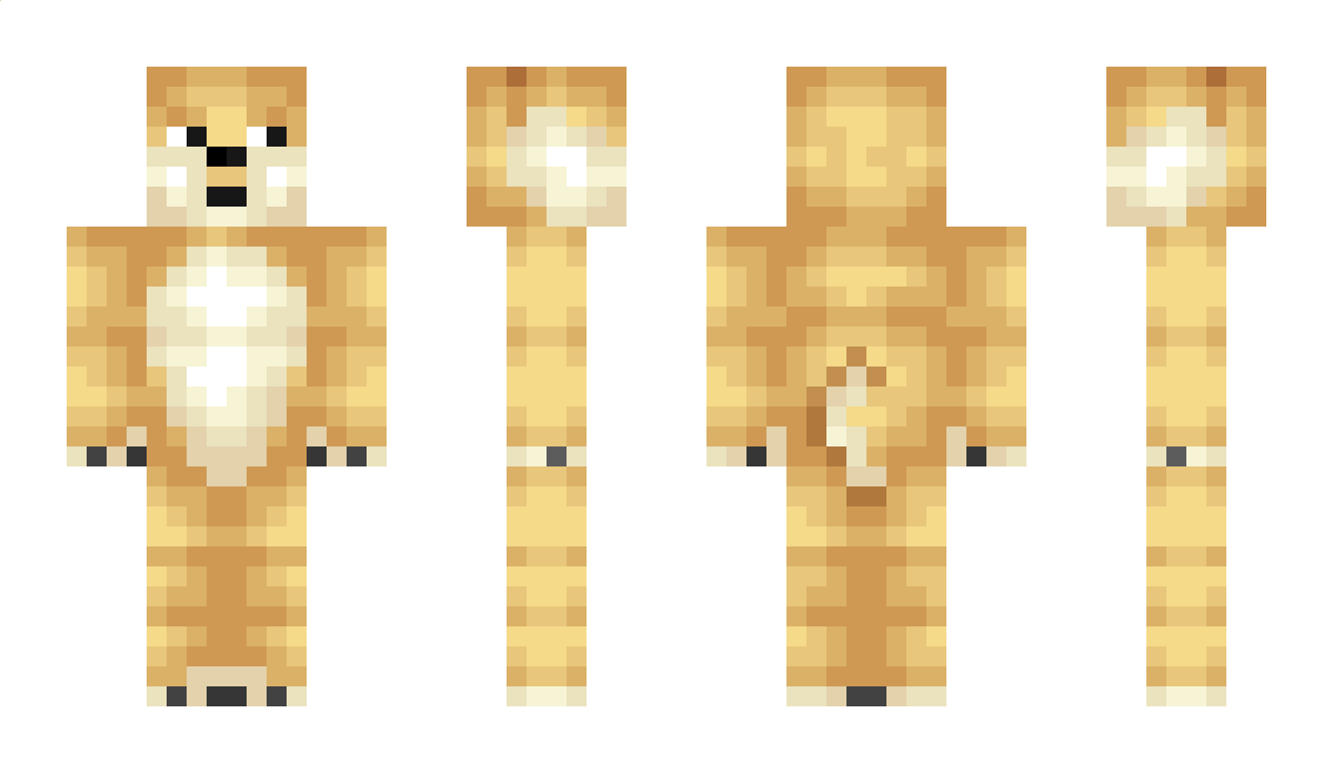 Silva Minecraft Skin