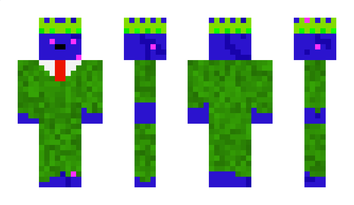 BriskSum8039772 Minecraft Skin