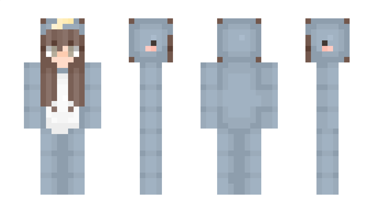 PlayerHead Minecraft Skin