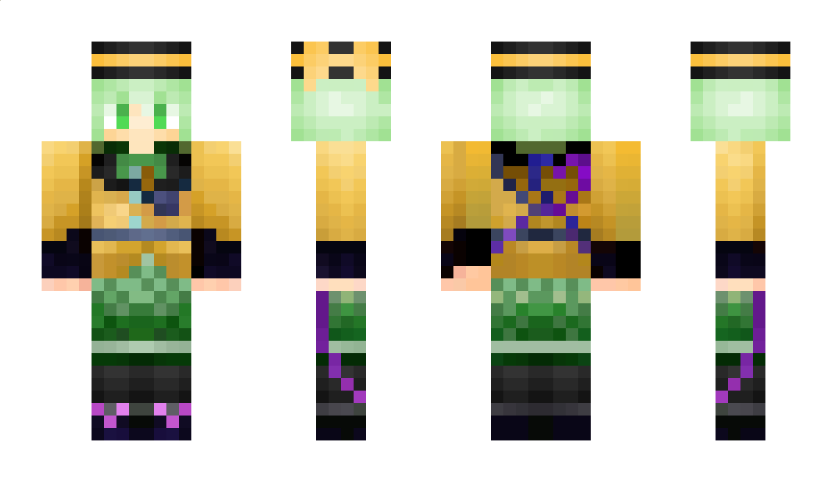 8748 Minecraft Skin