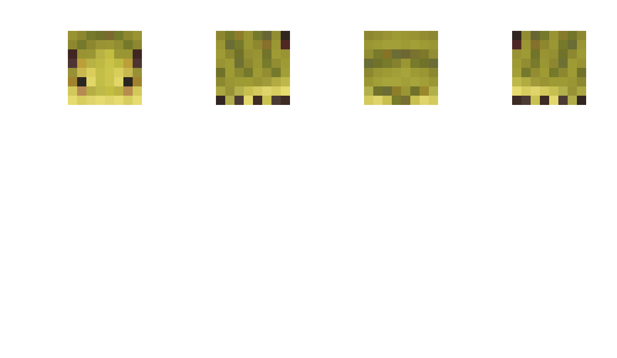 Wideload56 Minecraft Skin