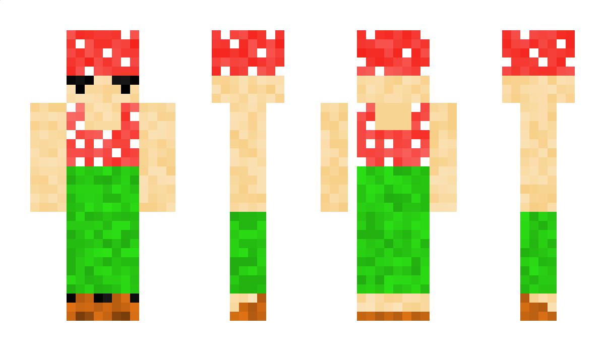 xgrzybexPL Minecraft Skin