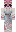 seraphymnswan Minecraft Skin