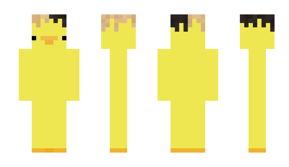 stinkywms Minecraft Skin