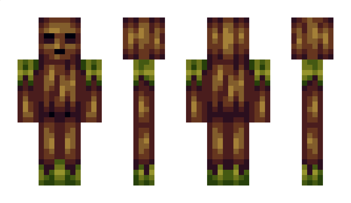 Paqer Minecraft Skin