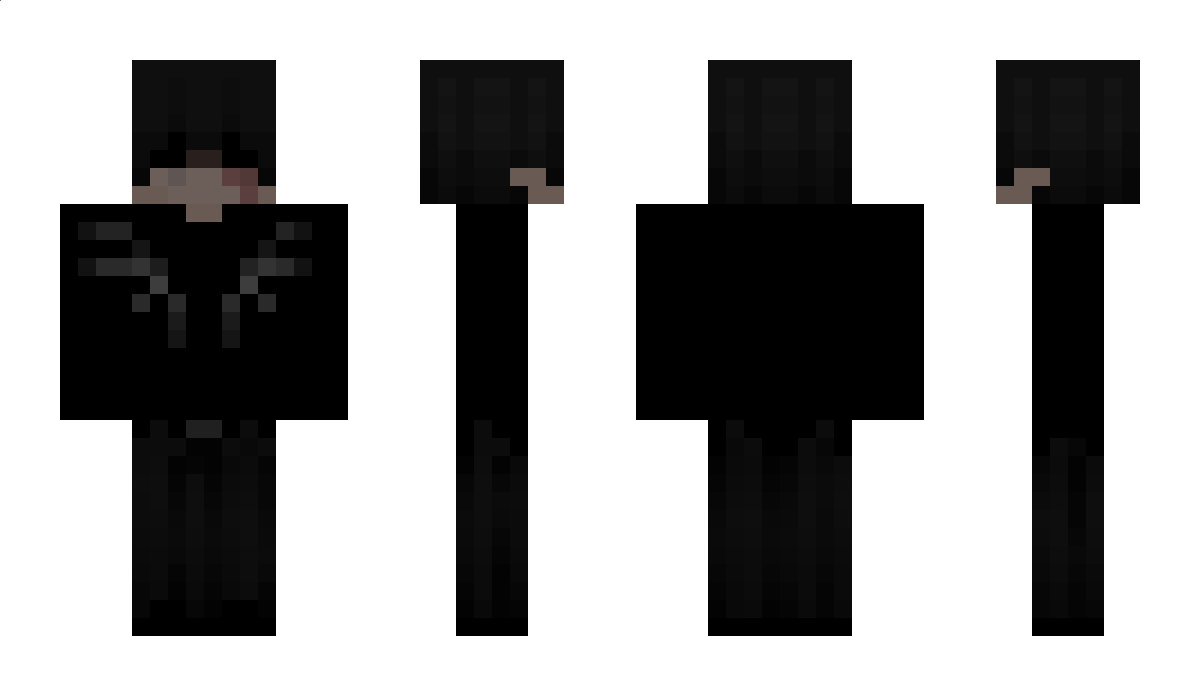 ajdaksdjn Minecraft Skin