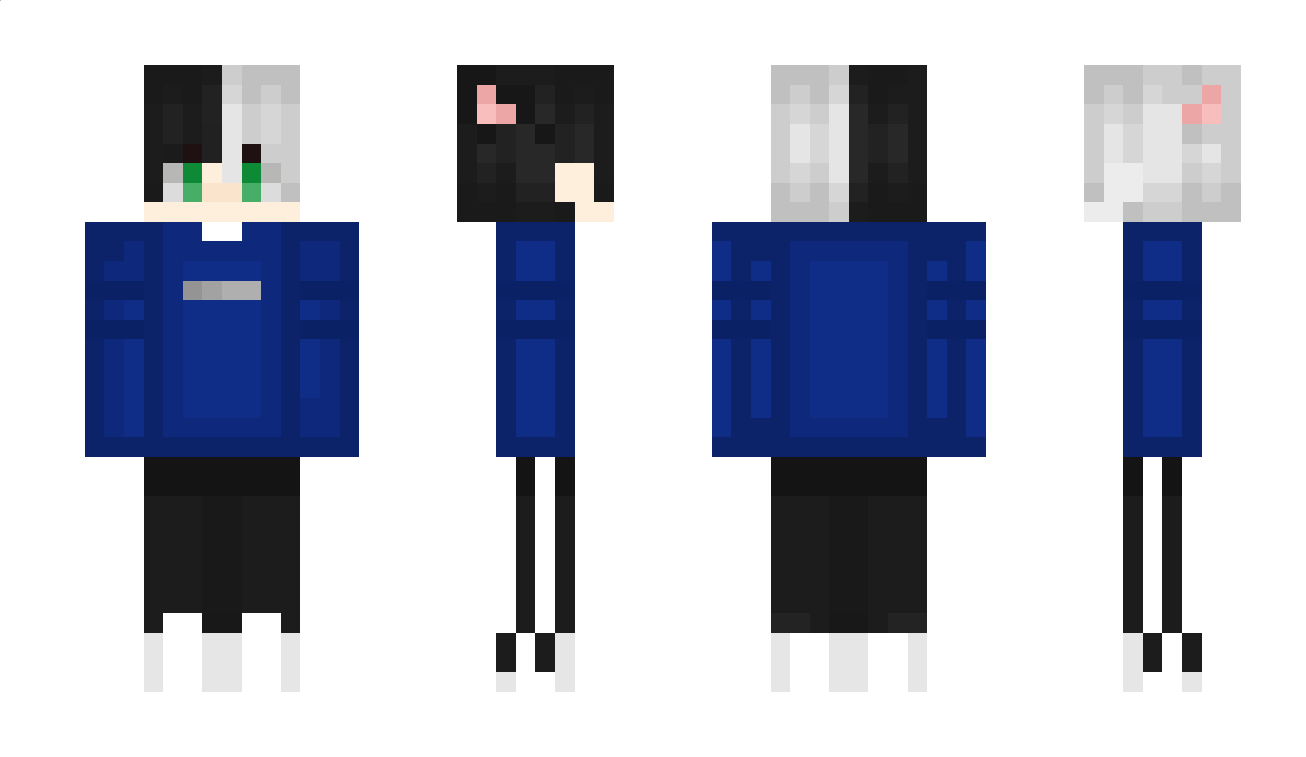 CritterL0rd Minecraft Skin