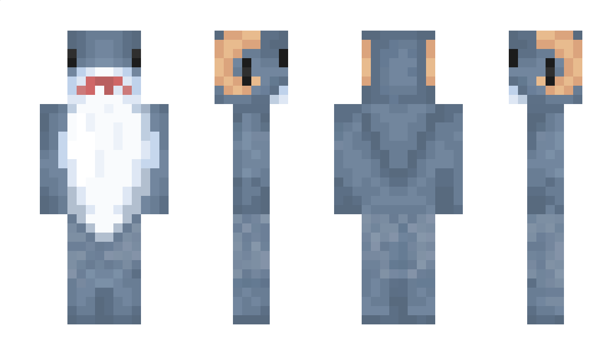 carishor2 Minecraft Skin