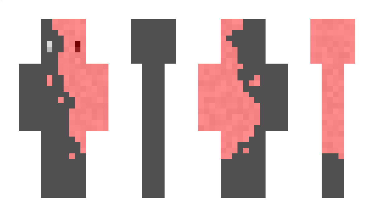 cammo1123 Minecraft Skin