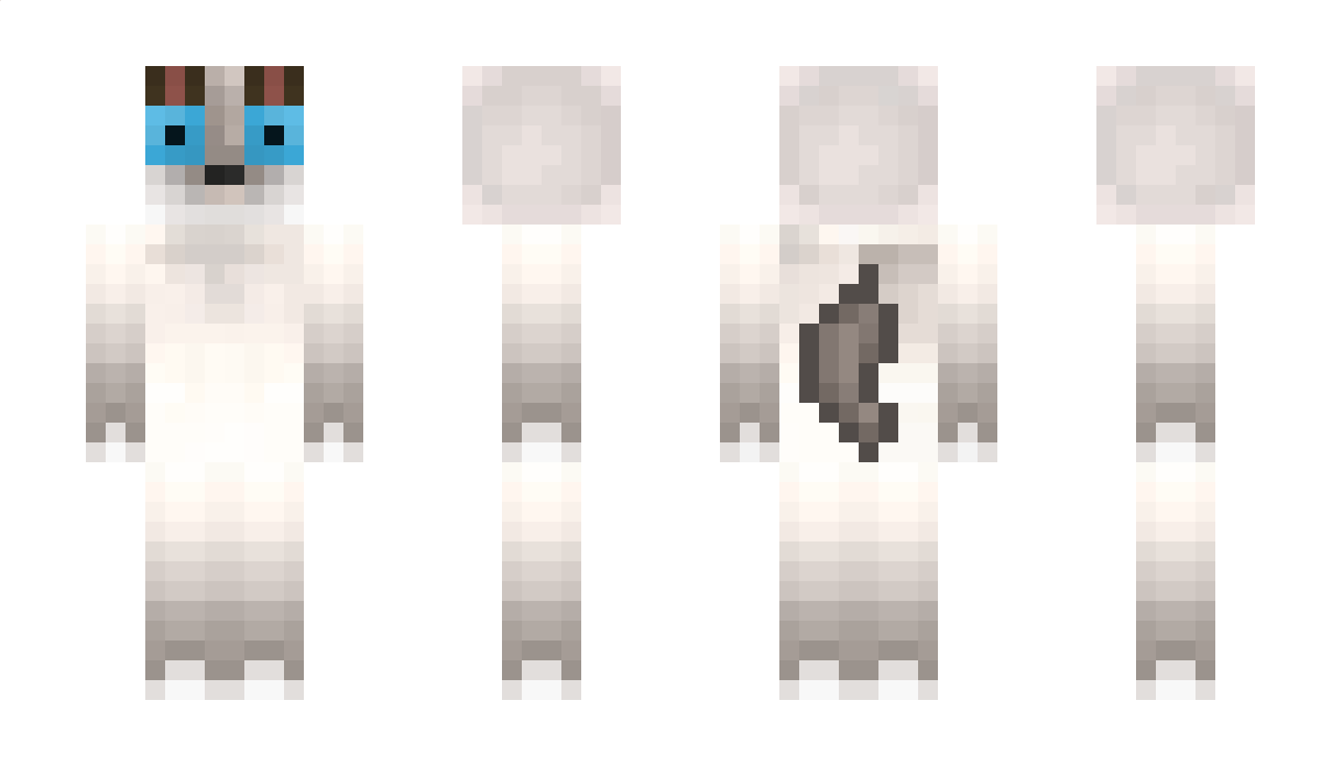 BelloKatze Minecraft Skin