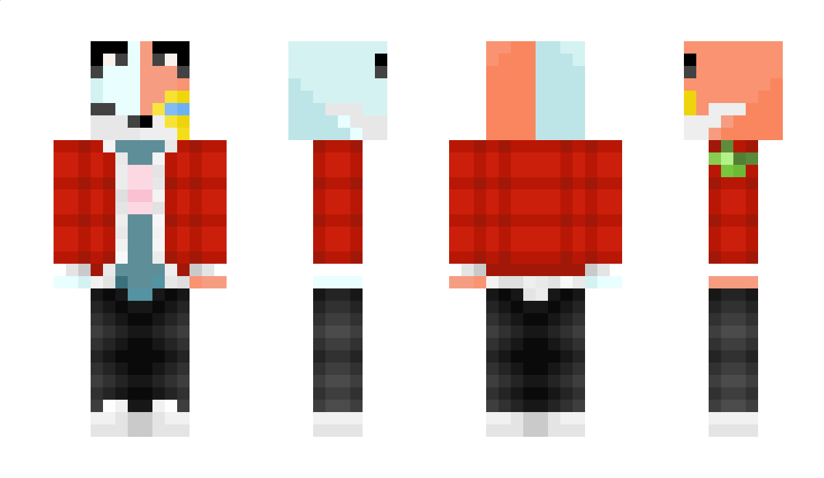 Polarfuchs_2 Minecraft Skin