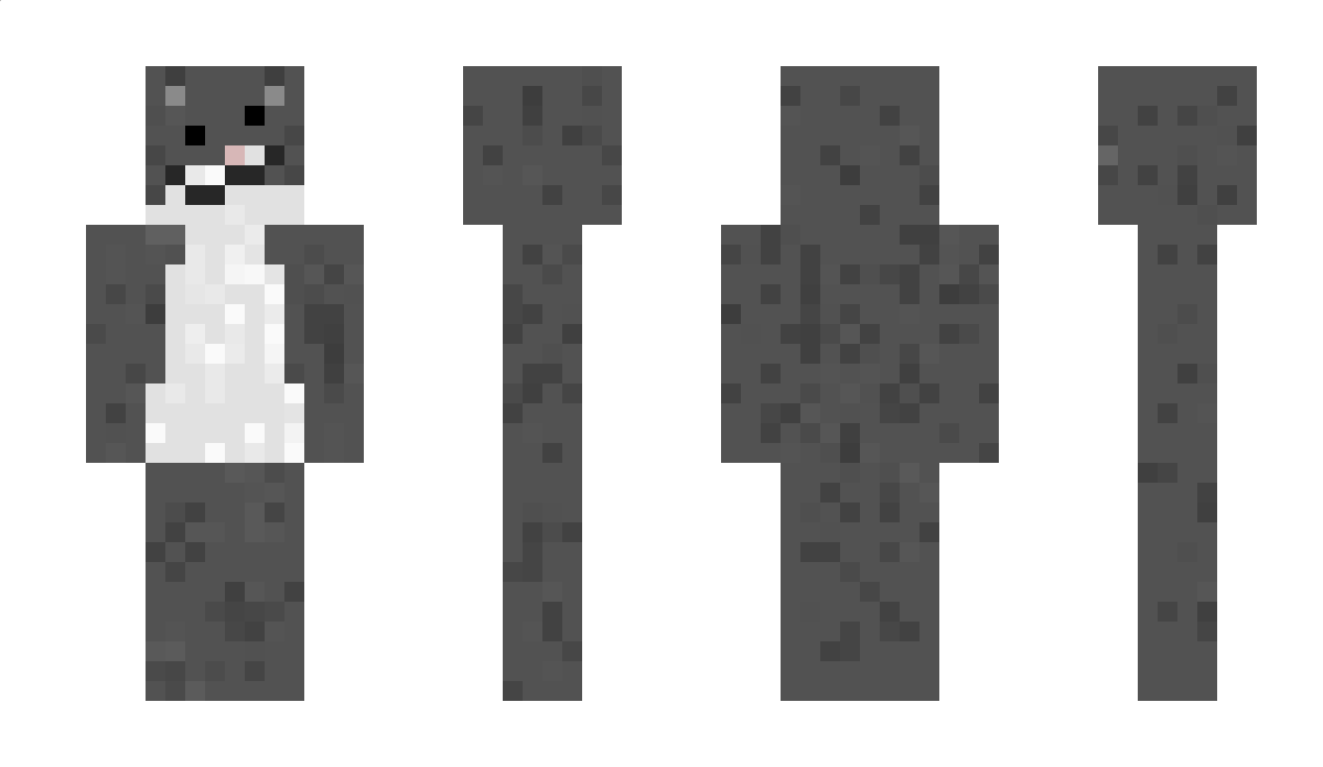 4943 Minecraft Skin