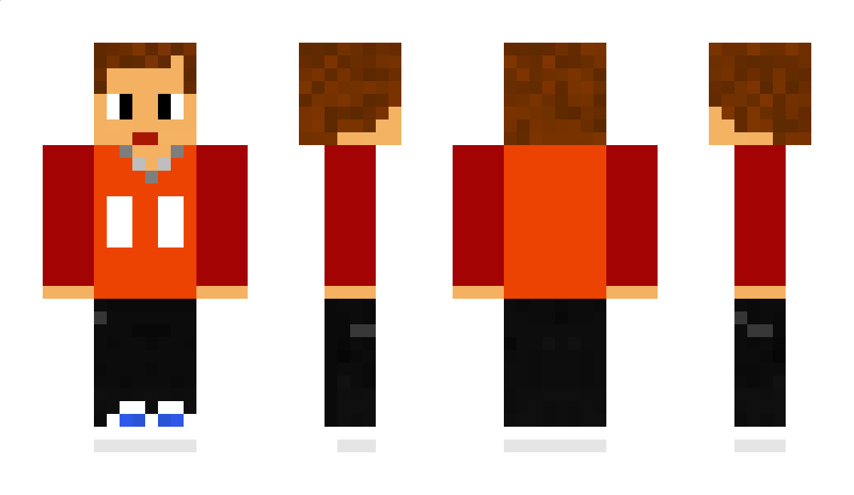 Playse Minecraft Skin