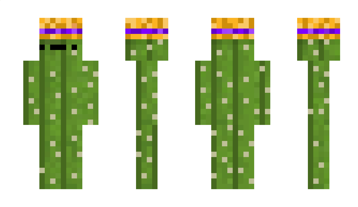 Arcecrom Minecraft Skin