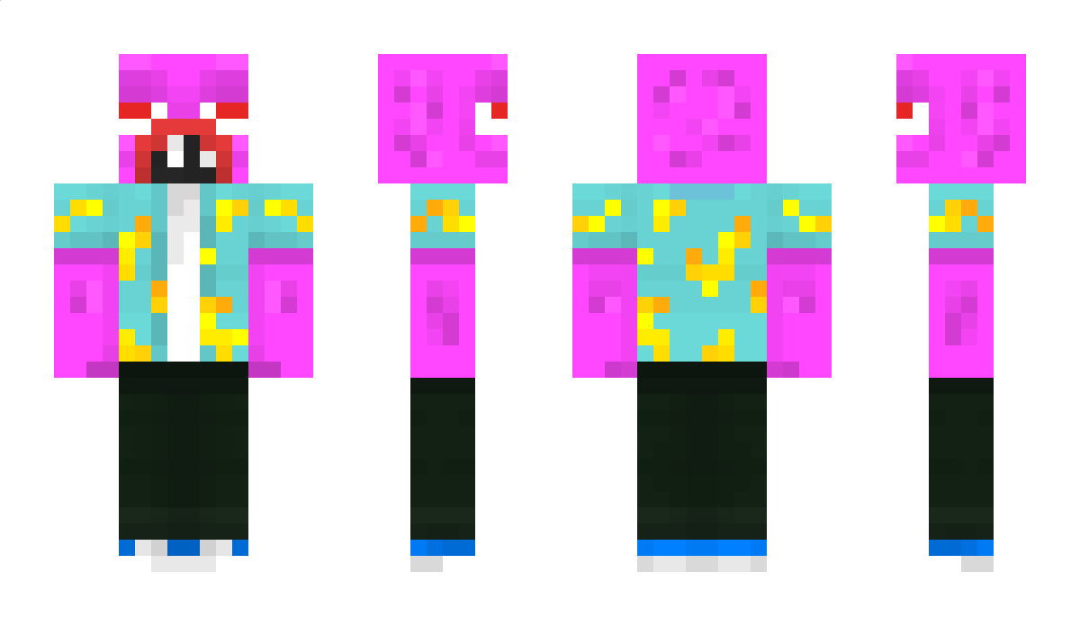 joku_nisti Minecraft Skin