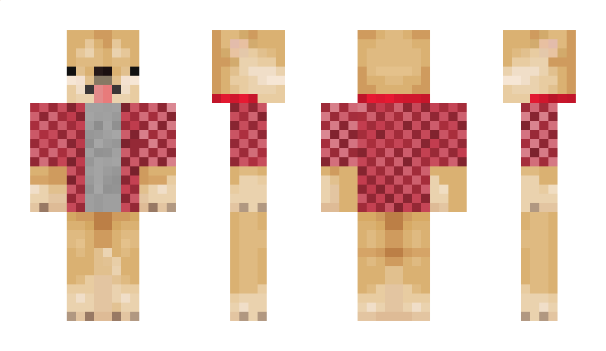 12Rajan28 Minecraft Skin