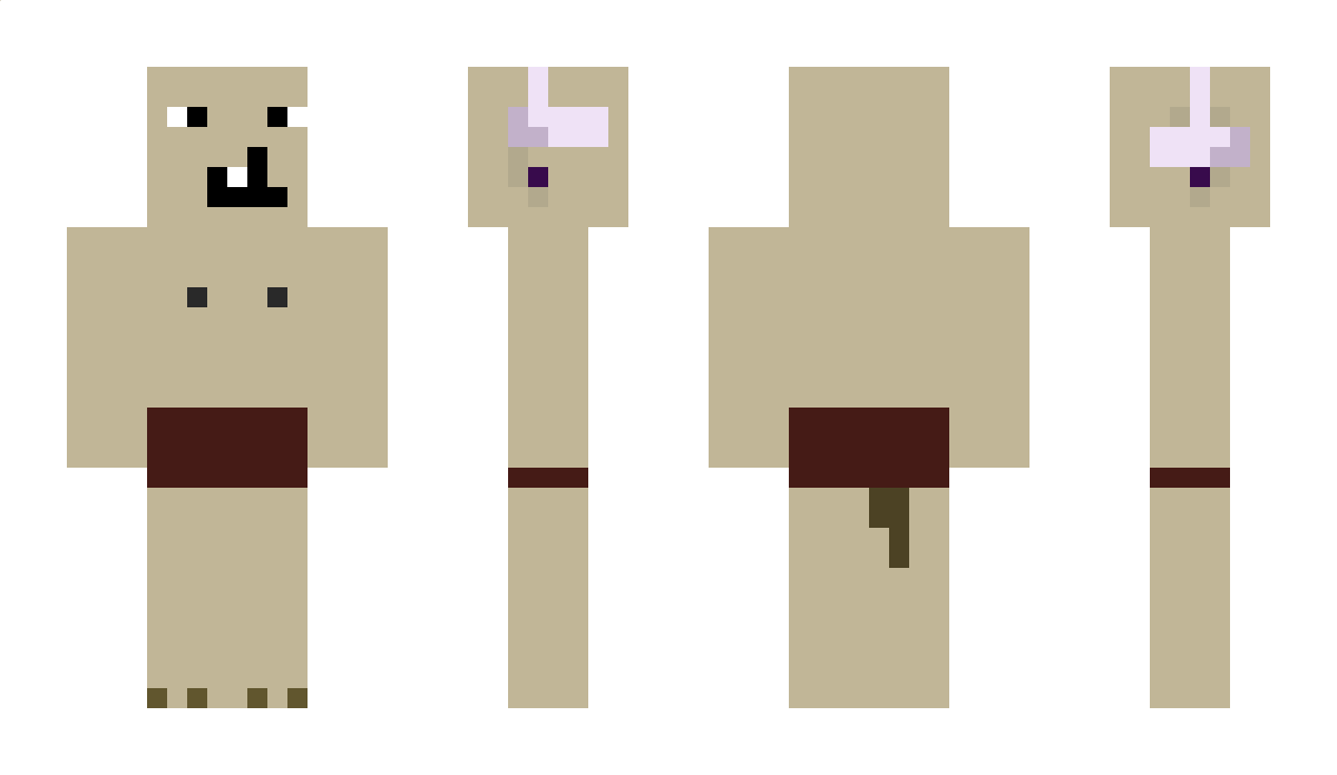 Zanp Minecraft Skin