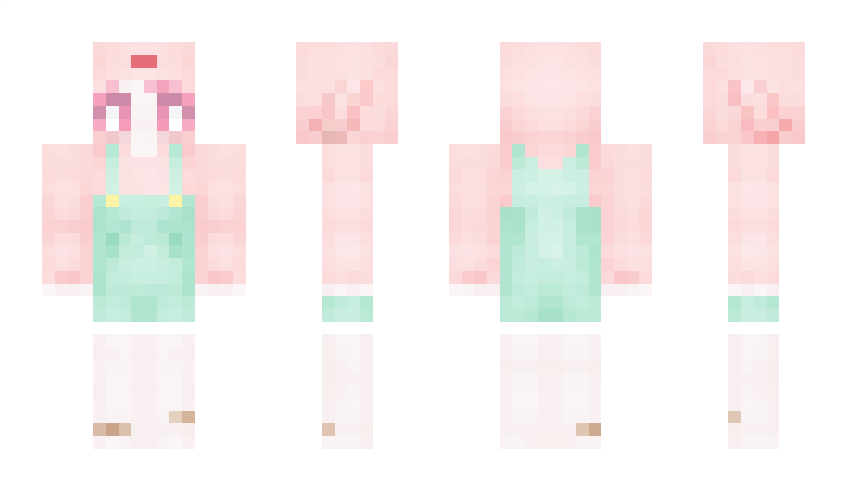 ank_o Minecraft Skin