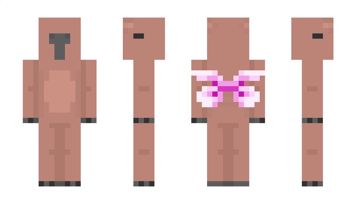 Dinmamma872 Minecraft Skin