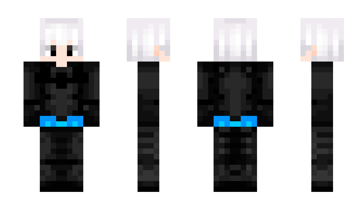 akcyjkka Minecraft Skin