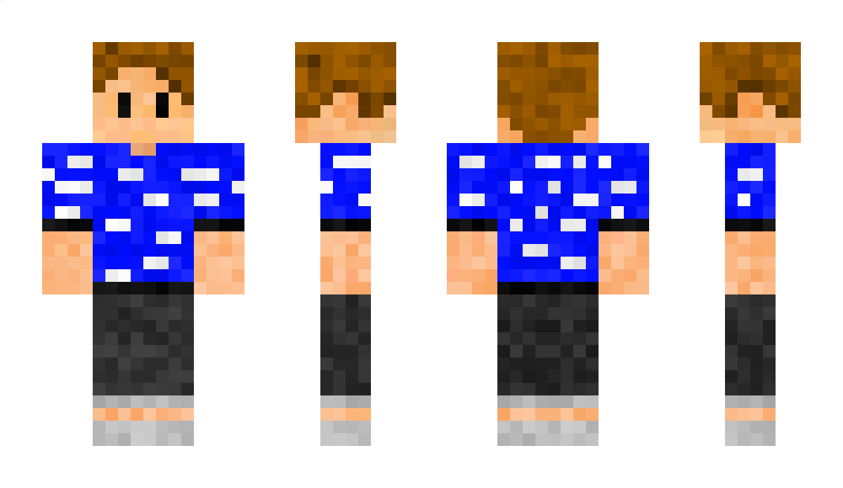 Altroz Minecraft Skin