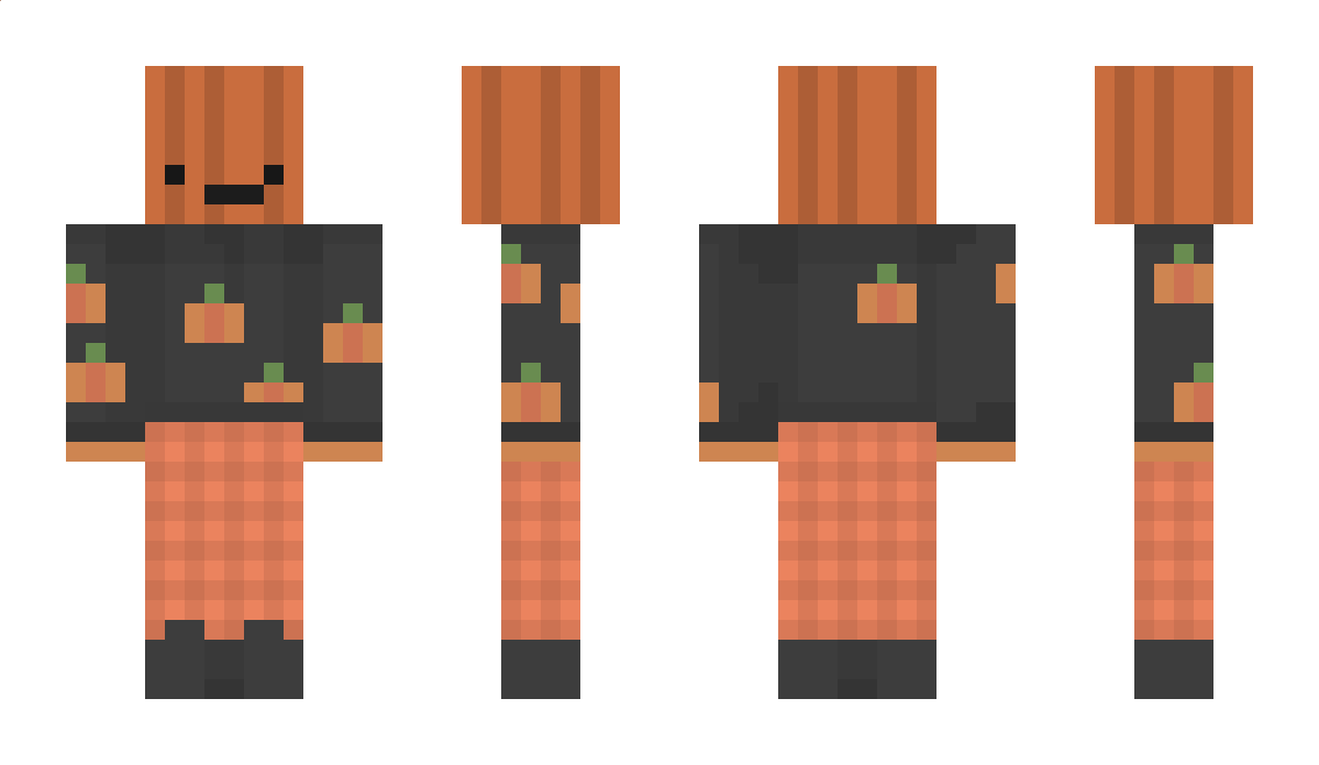 Perrybr26 Minecraft Skin