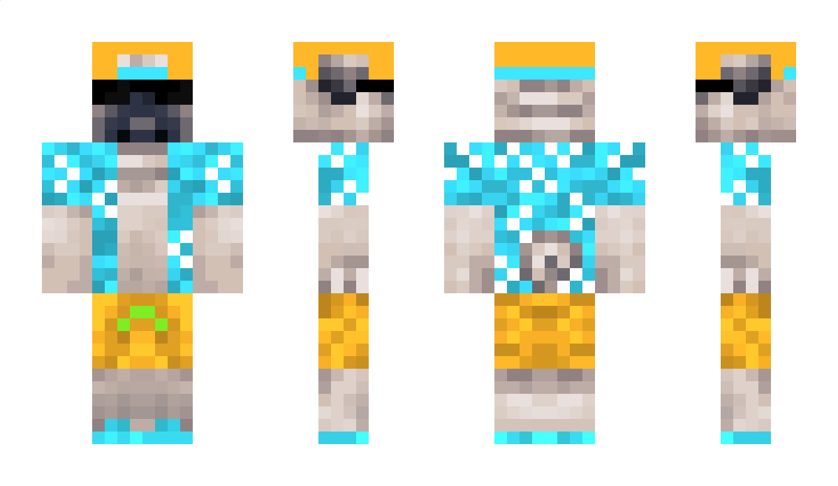 UltraBeachPug Minecraft Skin