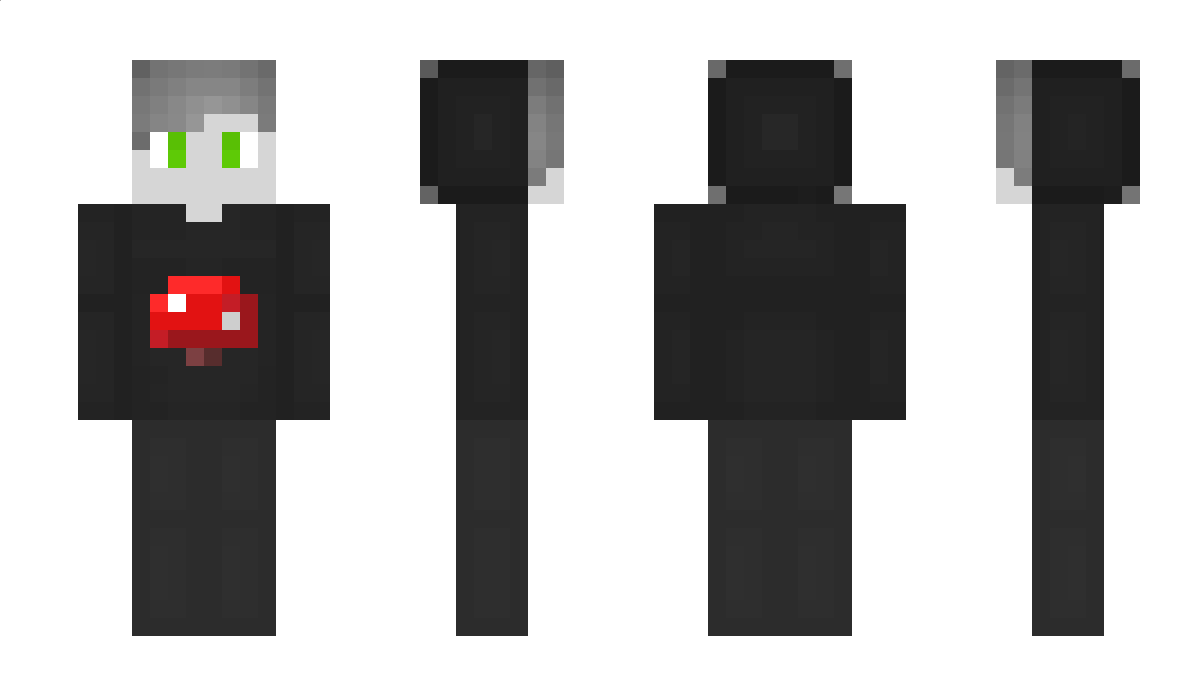 Zinnig Minecraft Skin