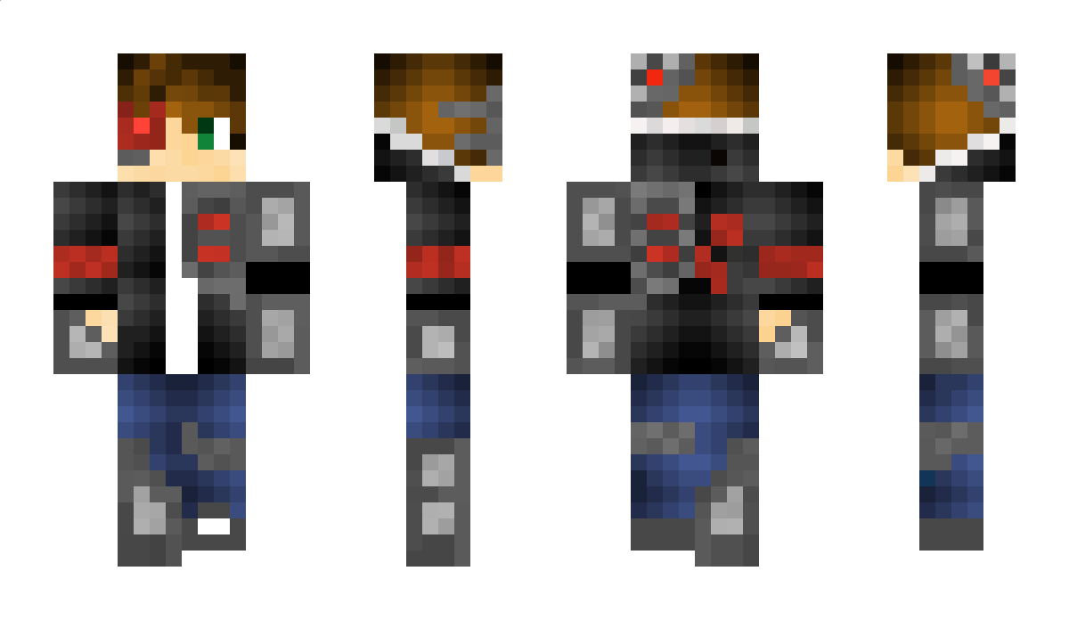 _Alternate Minecraft Skin