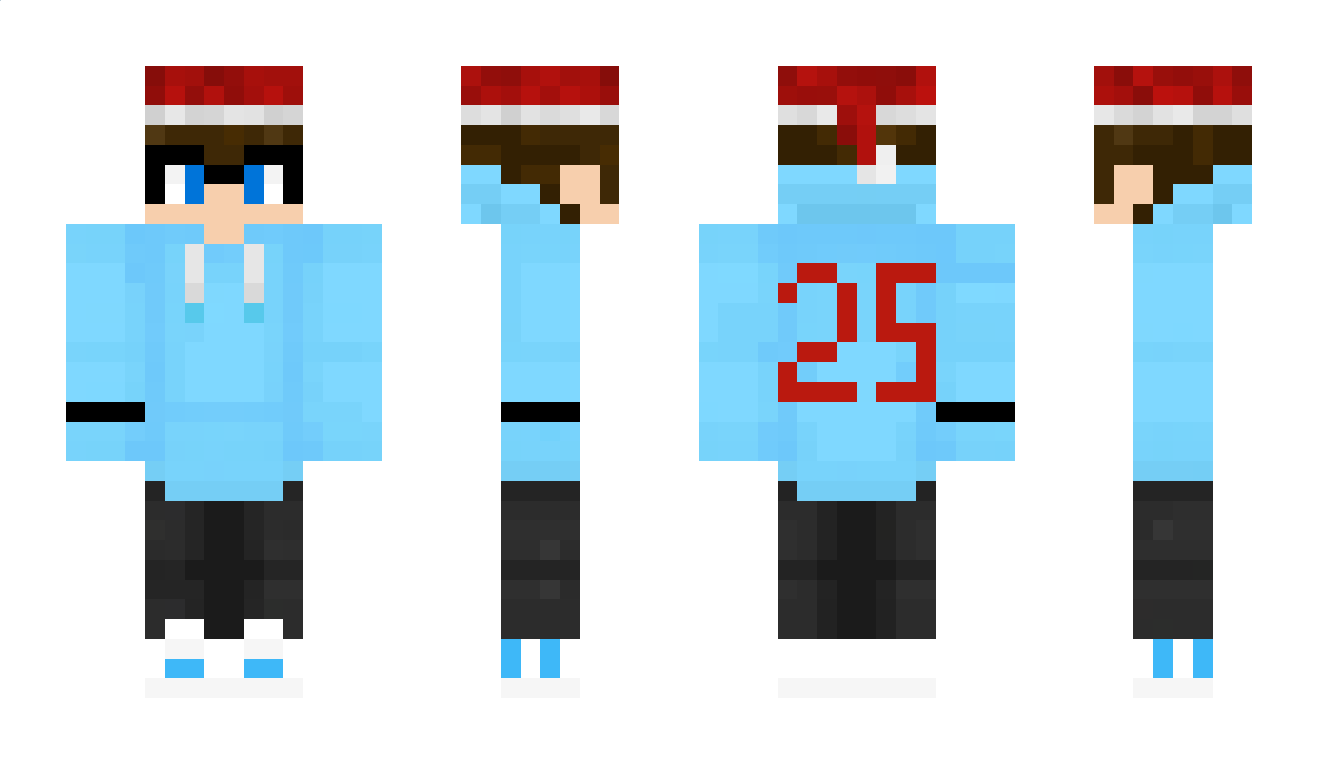 PartyFighter25 Minecraft Skin