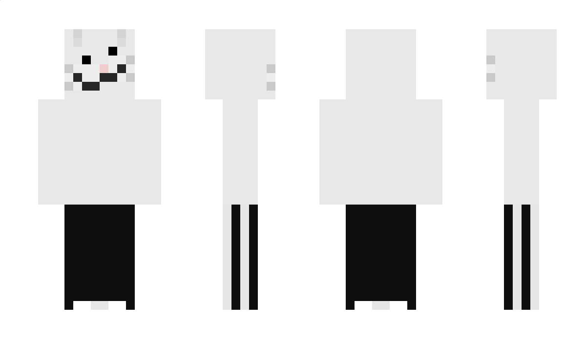 purrlit_ Minecraft Skin