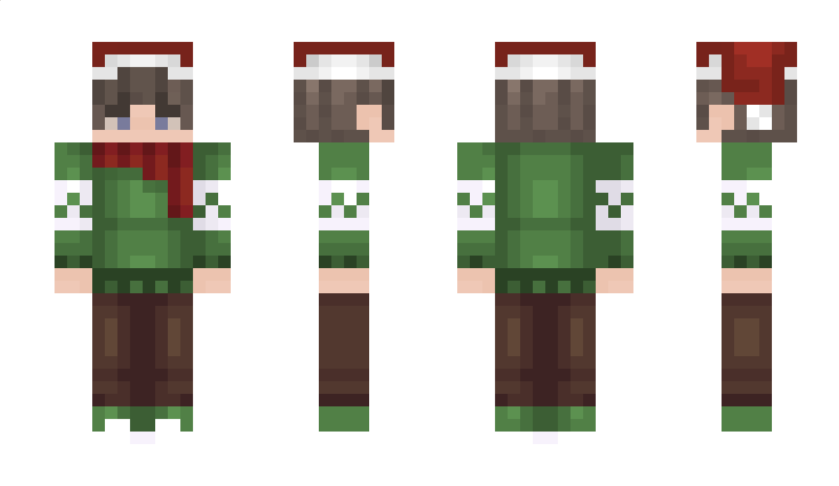 duckmcd Minecraft Skin