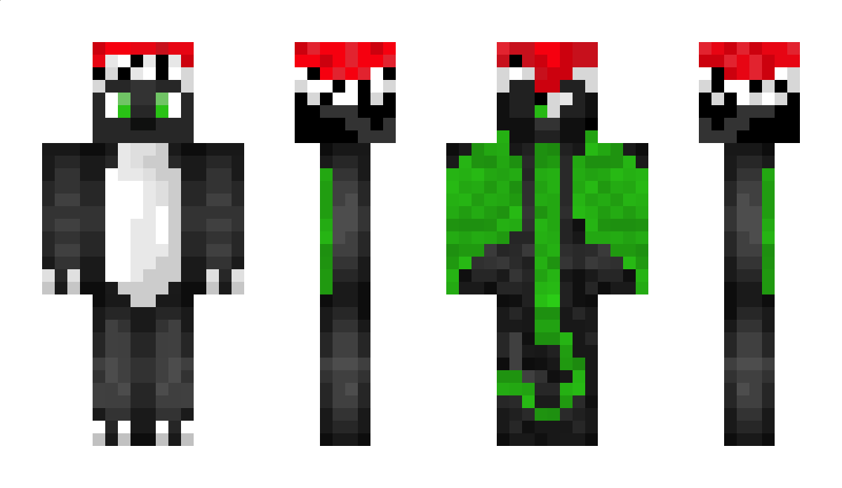 Hayhay13 Minecraft Skin